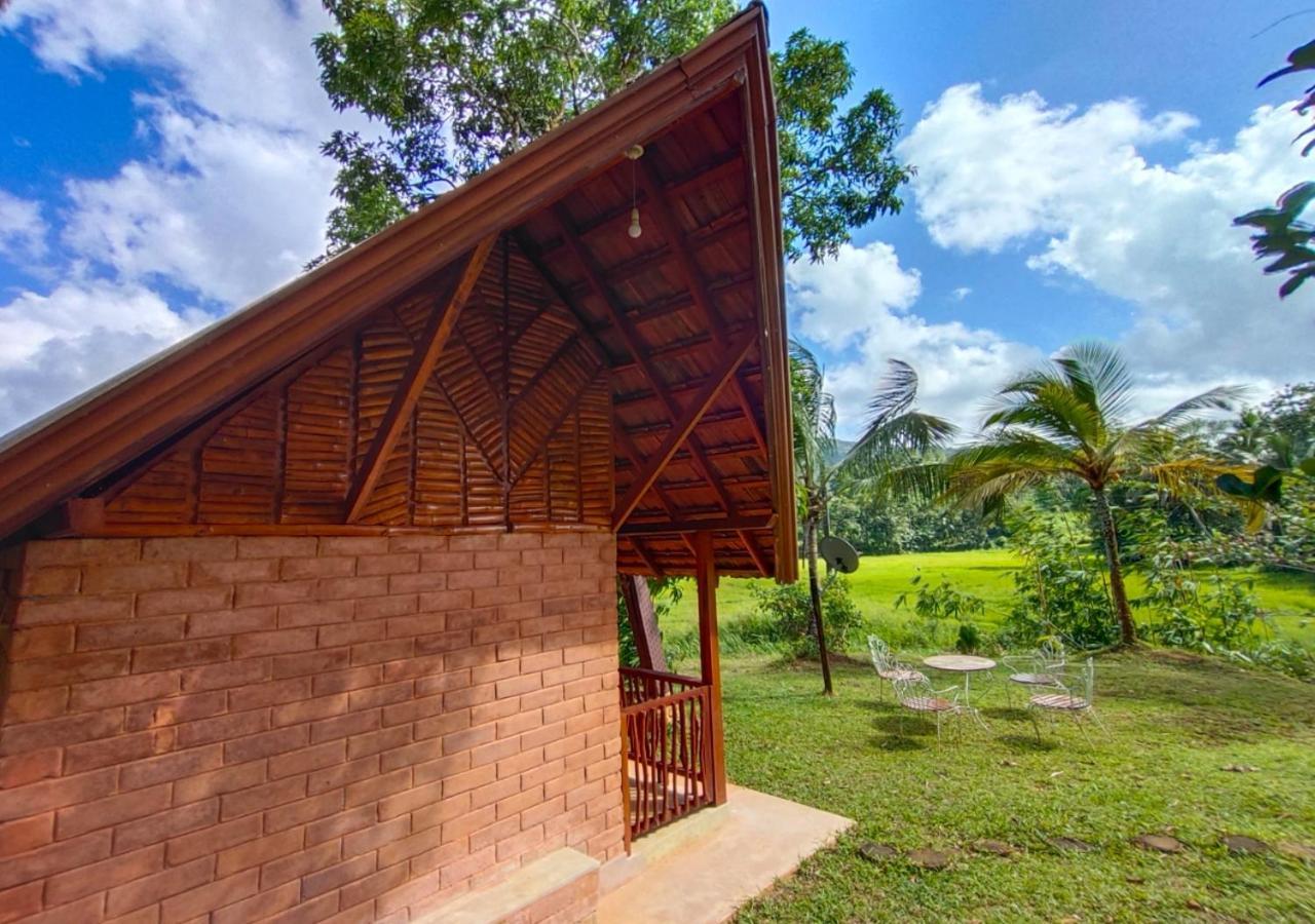 Cinnamon Village Sinharaja Deniyaya Exterior photo