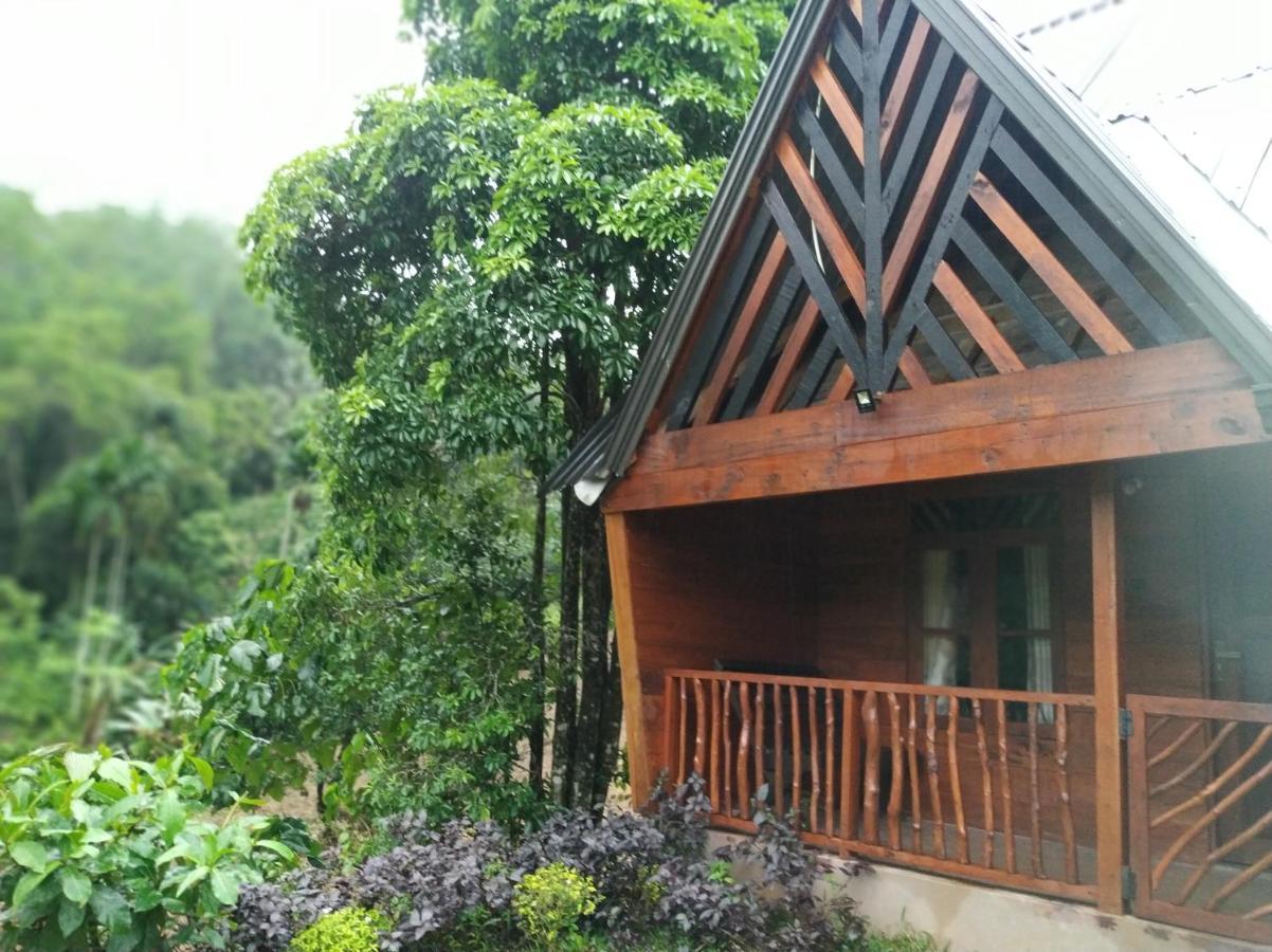 Cinnamon Village Sinharaja Deniyaya Exterior photo